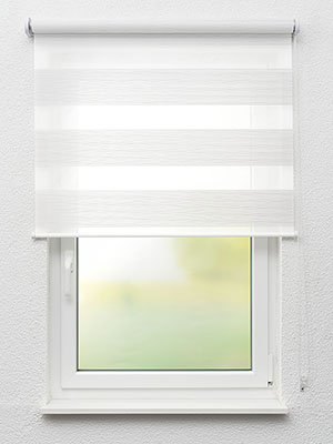 Doppelrollo Light shine 10.651 Fensteransicht